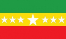 Bandera de San Miguel